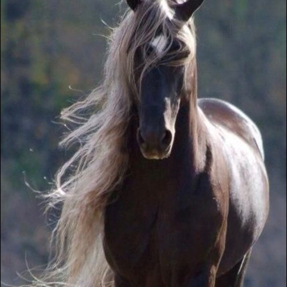 Meet your Posher, Sarah - Picture 1 of 1